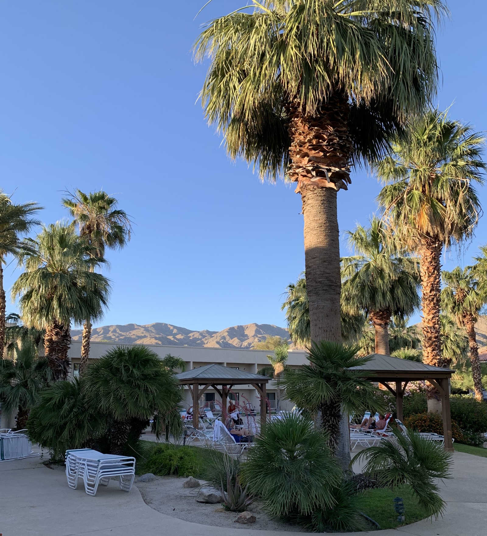 Desert-Hot-Springs-Hotel – Pop And Thistle