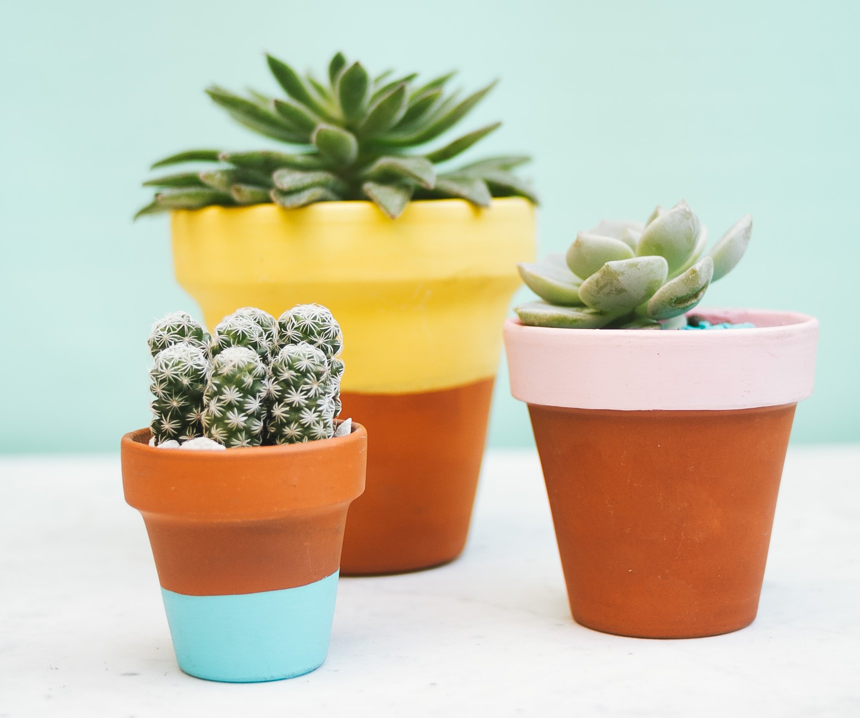 Mother’s Day Craft: Painted Terracotta Flower Pots – Pop and Thistle