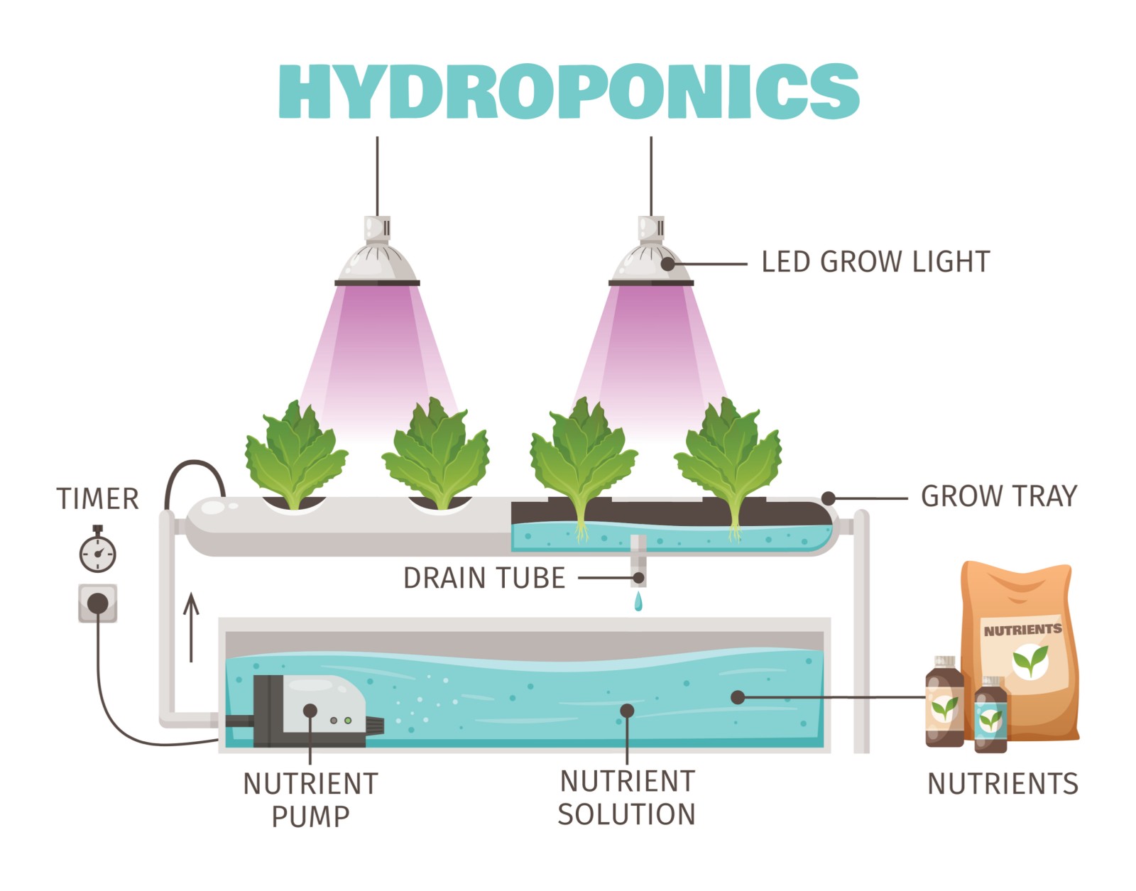 hydroponicschart Pop and Thistle