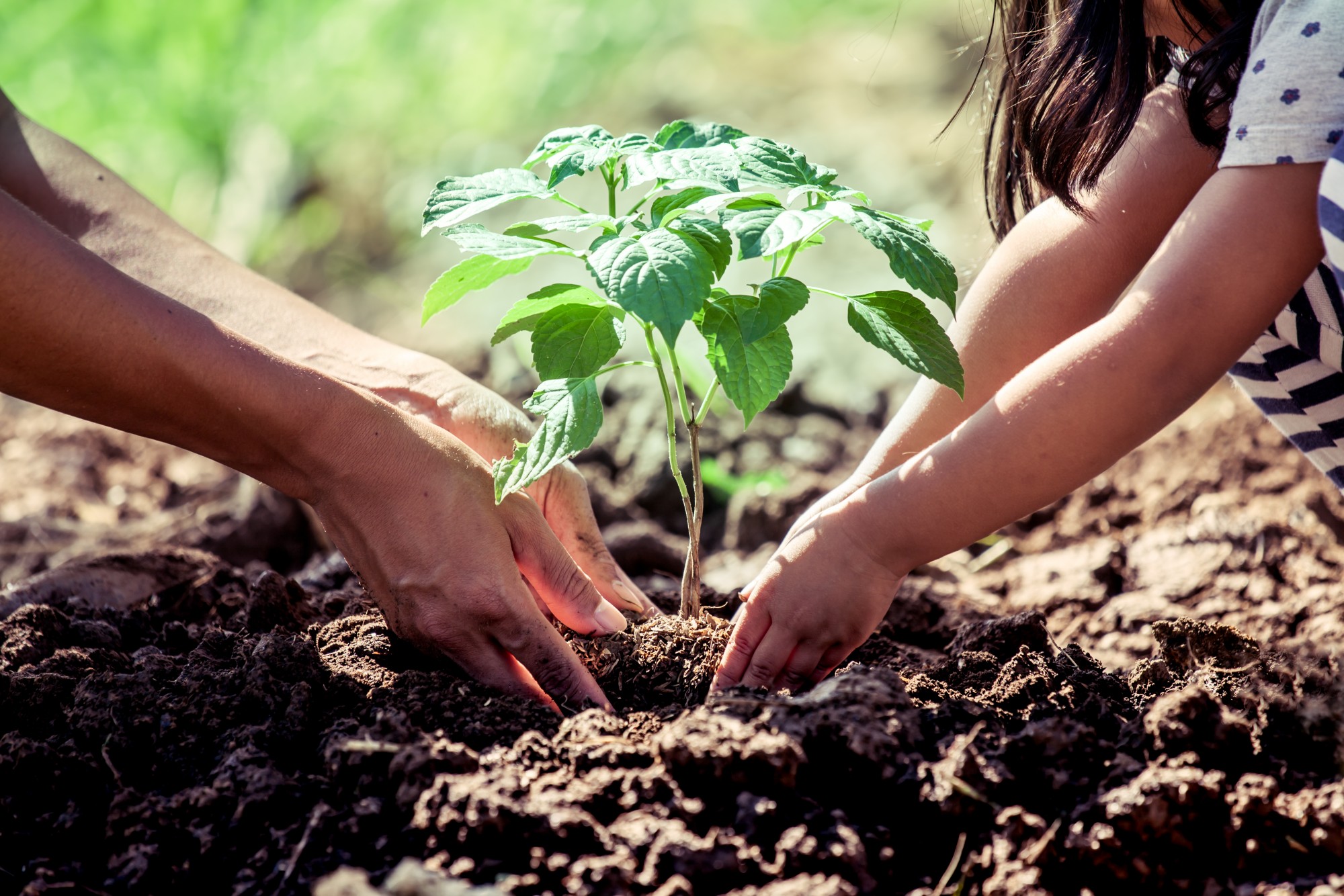 How to Prepare Your Garden for Spring: 10 Essential Tasks Before ...