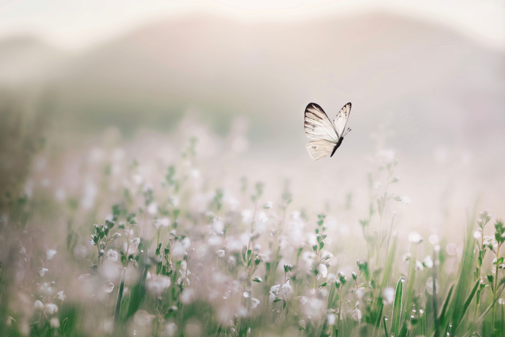Embrace the Great Outdoors: Discover How to Connect with Nature - Pop ...